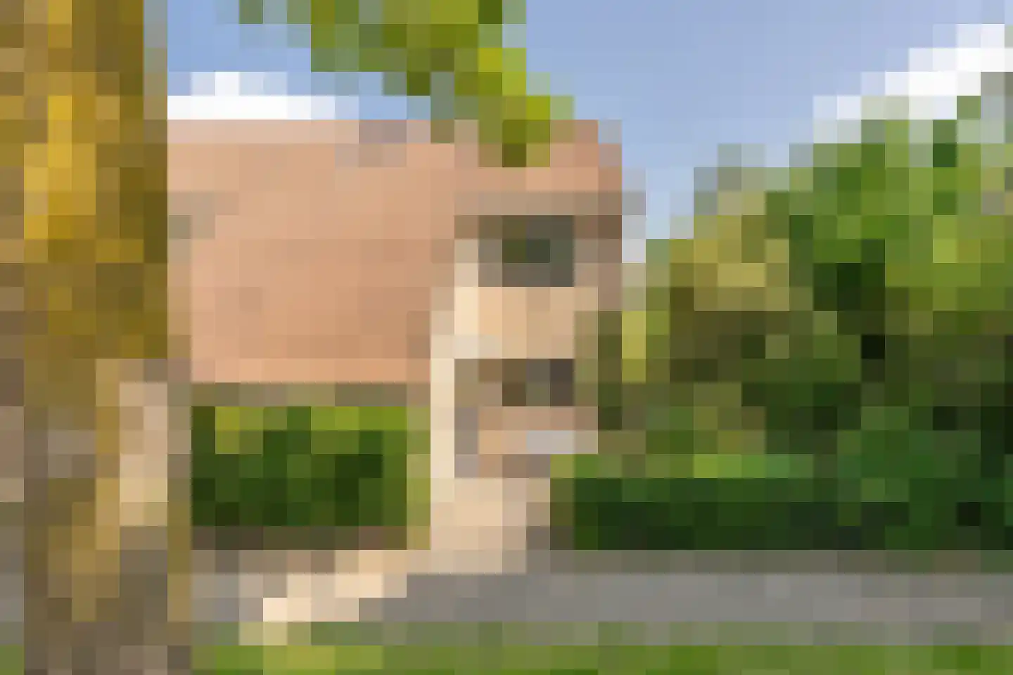 Torontodreef 30 Utrecht thumbnail 61