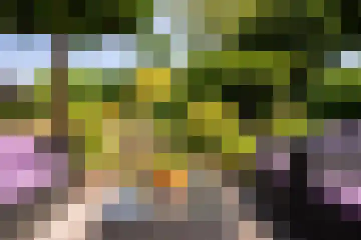 Torontolaan 12 Hoogerheide thumbnail 31
