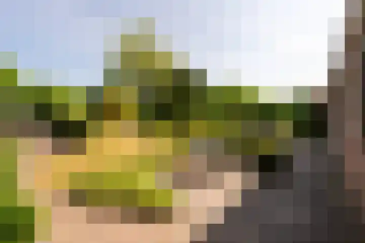 Torontolaan 12 Hoogerheide thumbnail 32