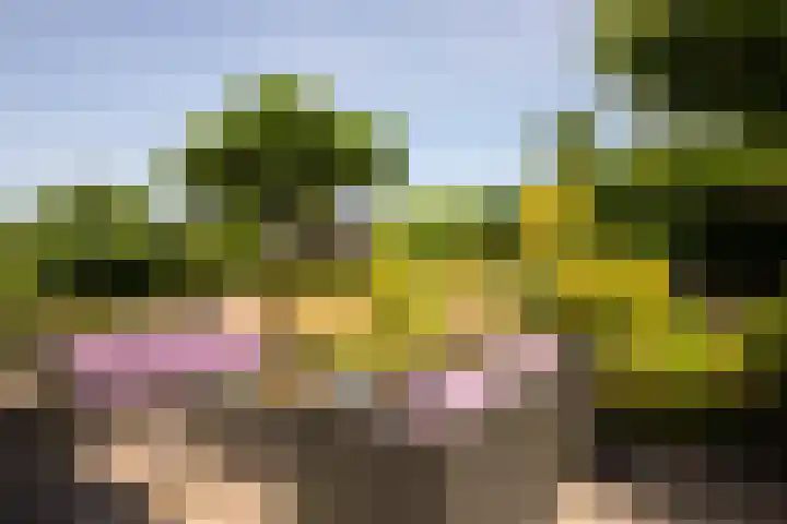 Torontolaan 12 Hoogerheide thumbnail 33