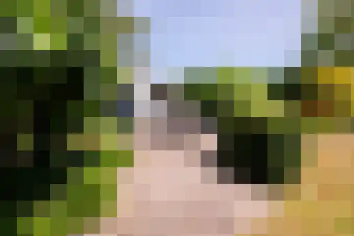 Torontolaan 12 Hoogerheide thumbnail 34
