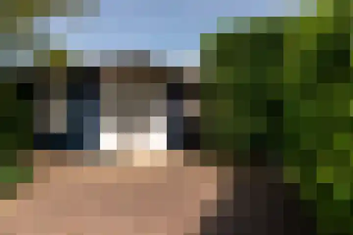 Torontolaan 12 Hoogerheide thumbnail 35