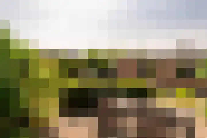 Torontolaan 12 Hoogerheide thumbnail 36