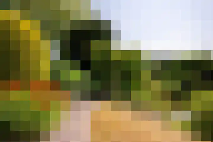 Torontolaan 12 Hoogerheide thumbnail 37