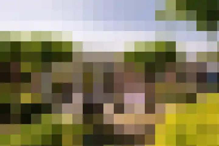 Torontolaan 12 Hoogerheide thumbnail 39