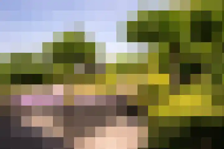 Torontolaan 12 Hoogerheide thumbnail 4