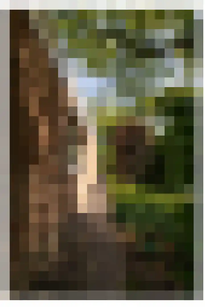 Torontolaan 12 Hoogerheide thumbnail 41