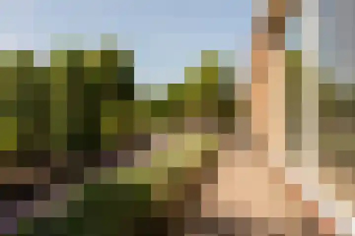 Torontolaan 12 Hoogerheide thumbnail 42