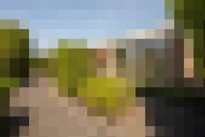 Torontolaan 12 Hoogerheide thumbnail 43