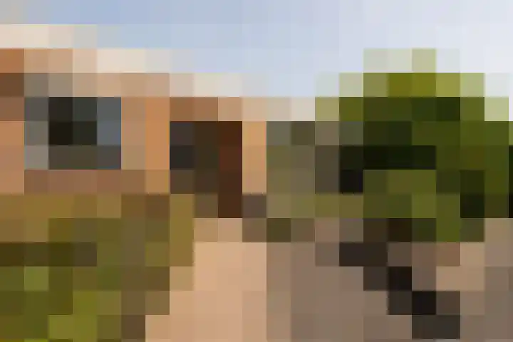 Torontolaan 12 Hoogerheide thumbnail 44
