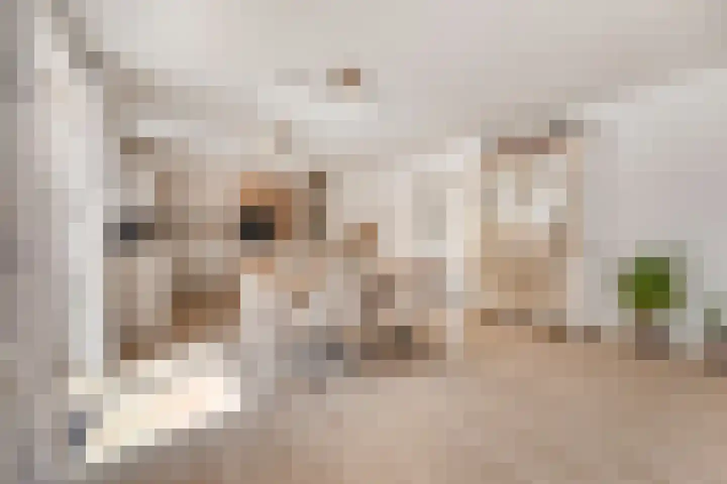 Torp 12 Den Helder thumbnail 12