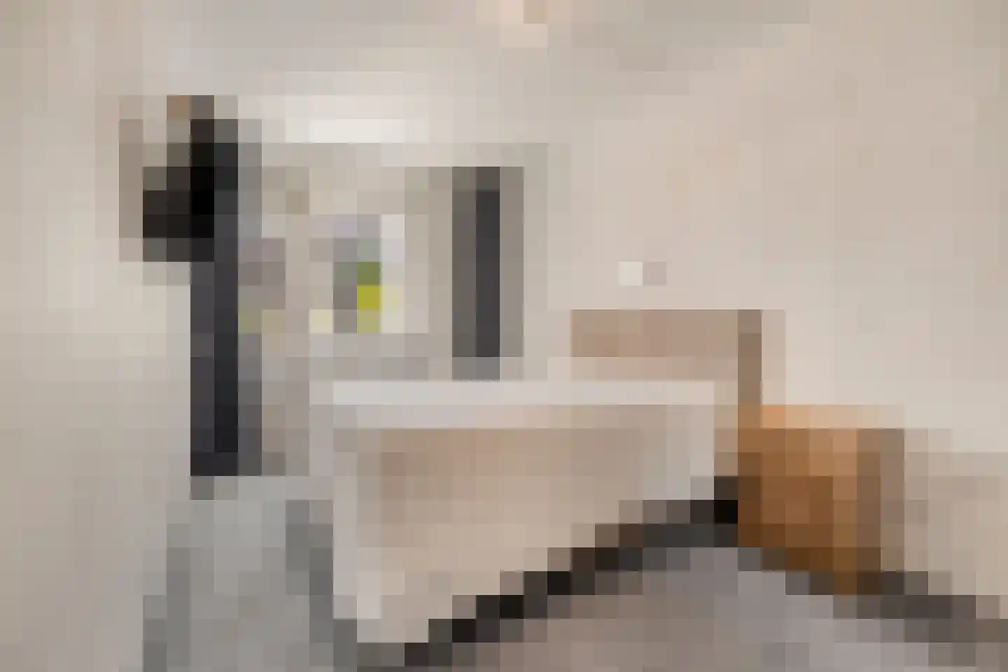 Torp 12 Den Helder thumbnail 19