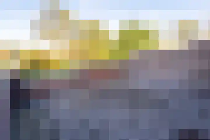 Torp 17 Den Helder thumbnail 10