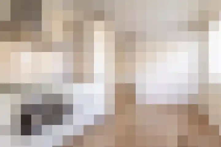 Torp 17 Den Helder thumbnail 8