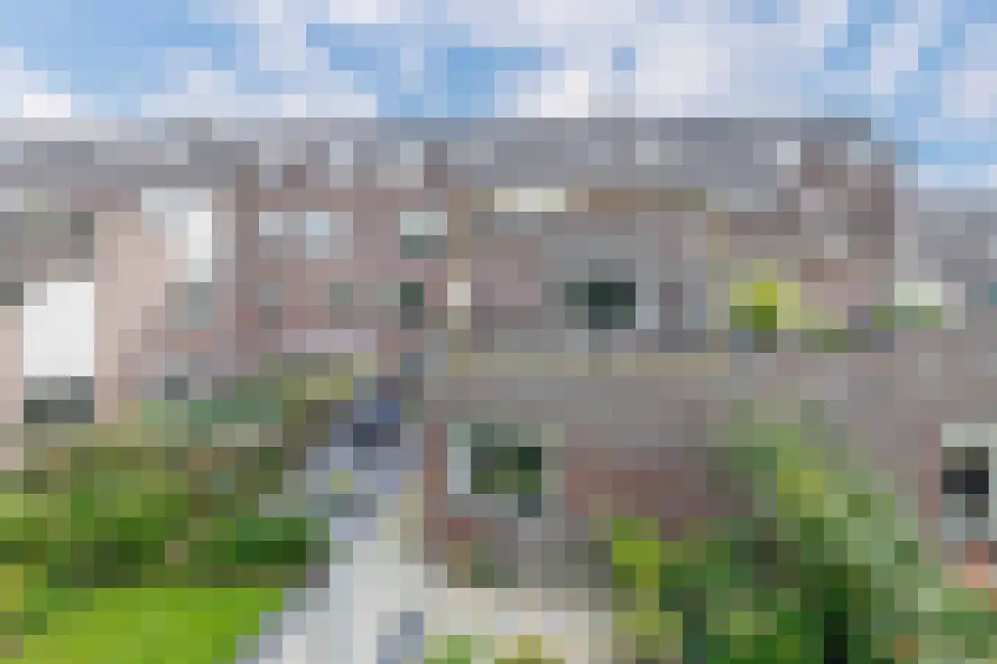 Torp 23 Den Helder