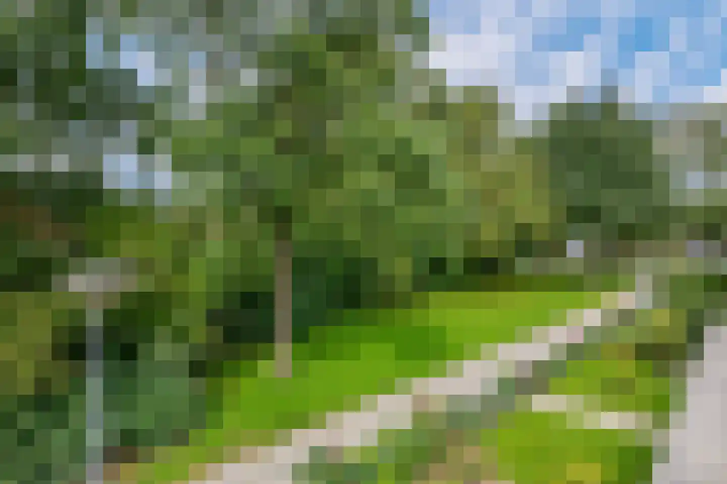 Torp 23 Den Helder thumbnail 20