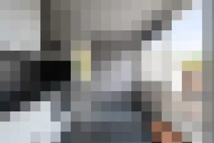 Torp 27 Den Helder thumbnail 14