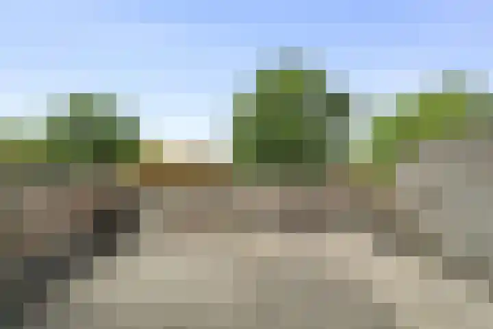Torp 27 Den Helder thumbnail 15