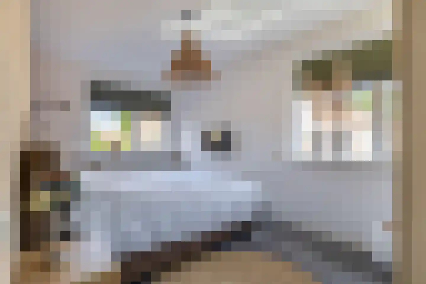 Torp 31 Den Helder thumbnail 11