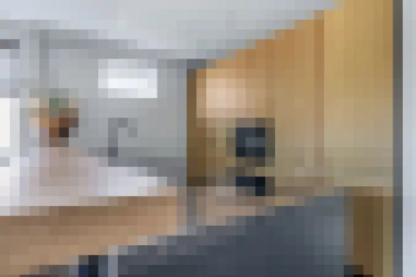 Torp 31 Den Helder thumbnail 4