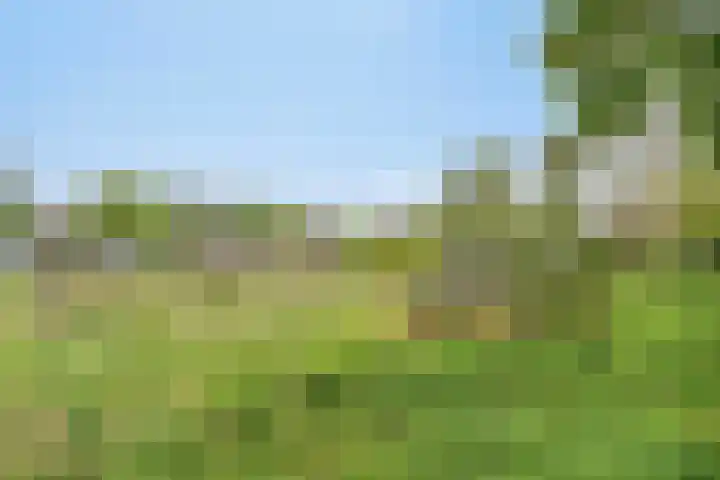 Torp 42 Den Helder thumbnail 10