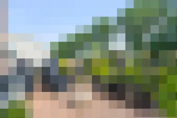 Torp 42 Den Helder thumbnail 16