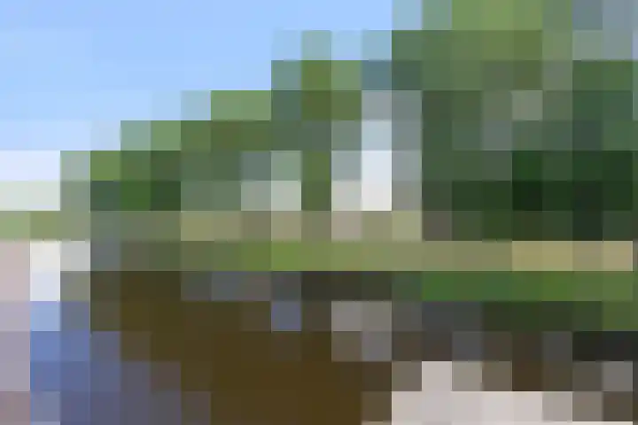 Torp 42 Den Helder thumbnail 17