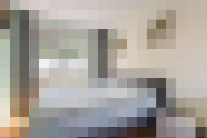 Torp 42 Den Helder thumbnail 20