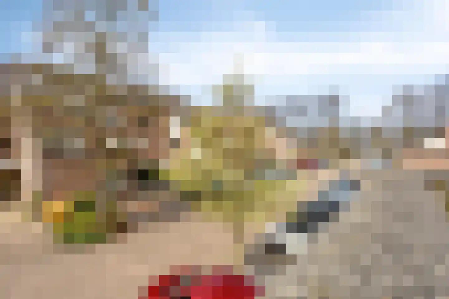 Torp 51 Den Helder thumbnail 24