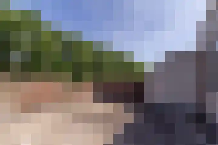 Torp 52 Den Helder thumbnail 15