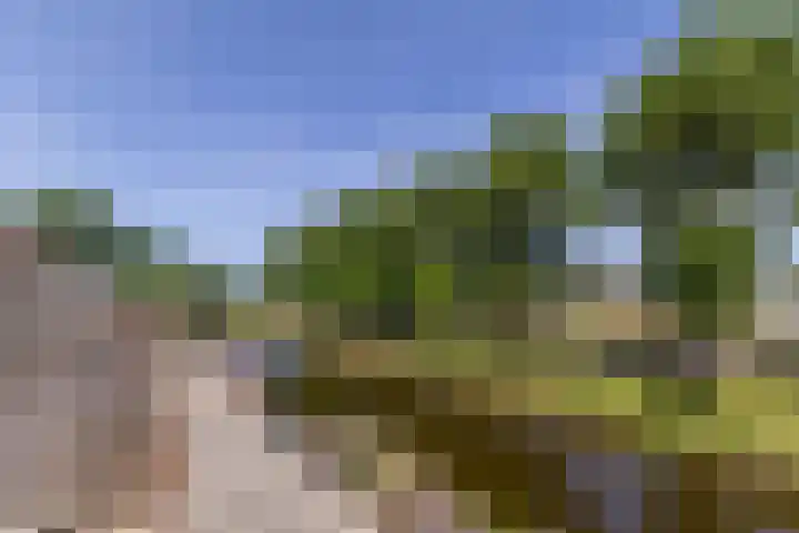 Torp 52 Den Helder thumbnail 16