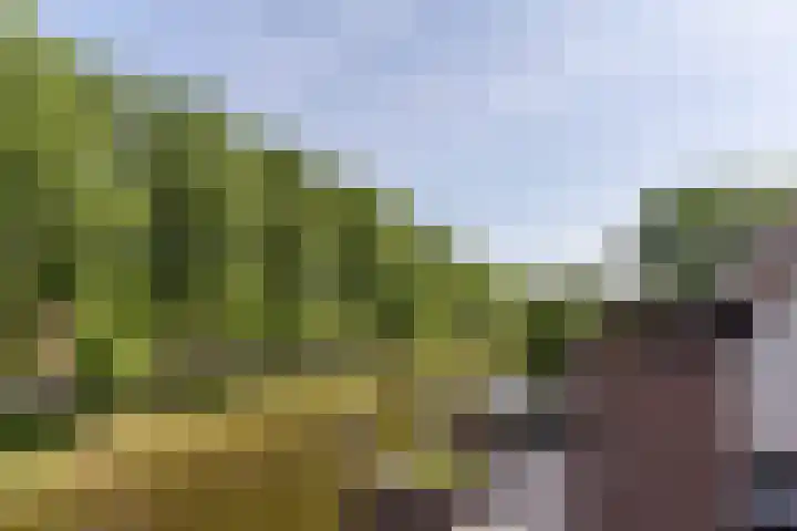 Torp 52 Den Helder thumbnail 17