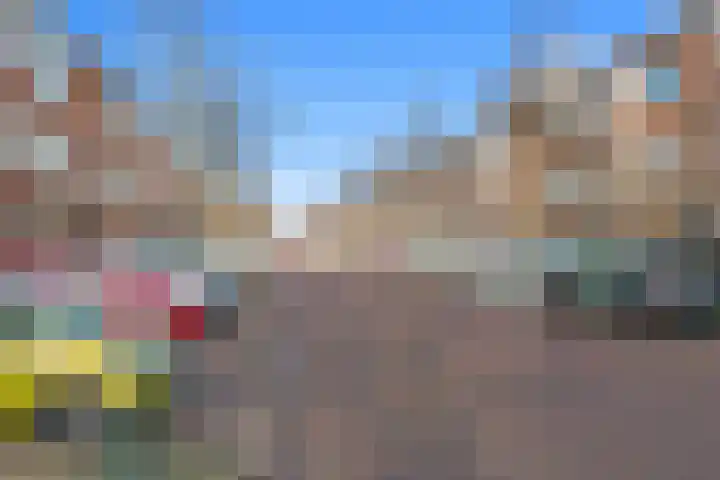 Torp 53 Den Helder thumbnail 15