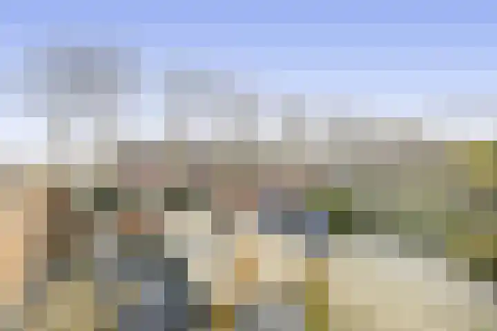 Torp 53 Den Helder thumbnail 18