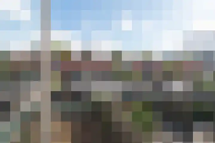 Torp 53 Den Helder thumbnail 32