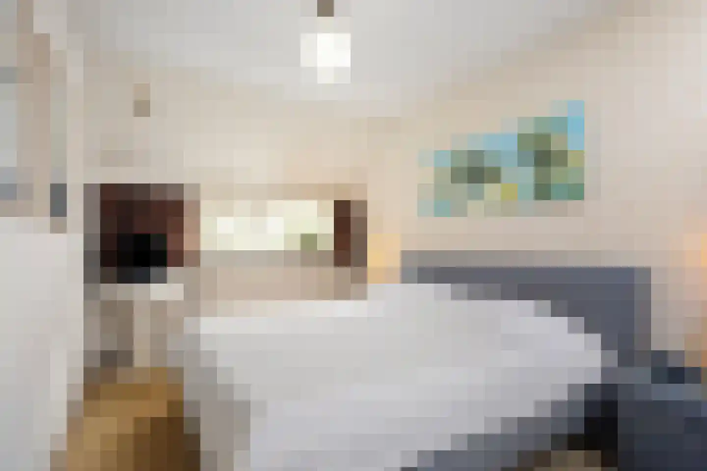 Torp 70 Den Helder thumbnail 20