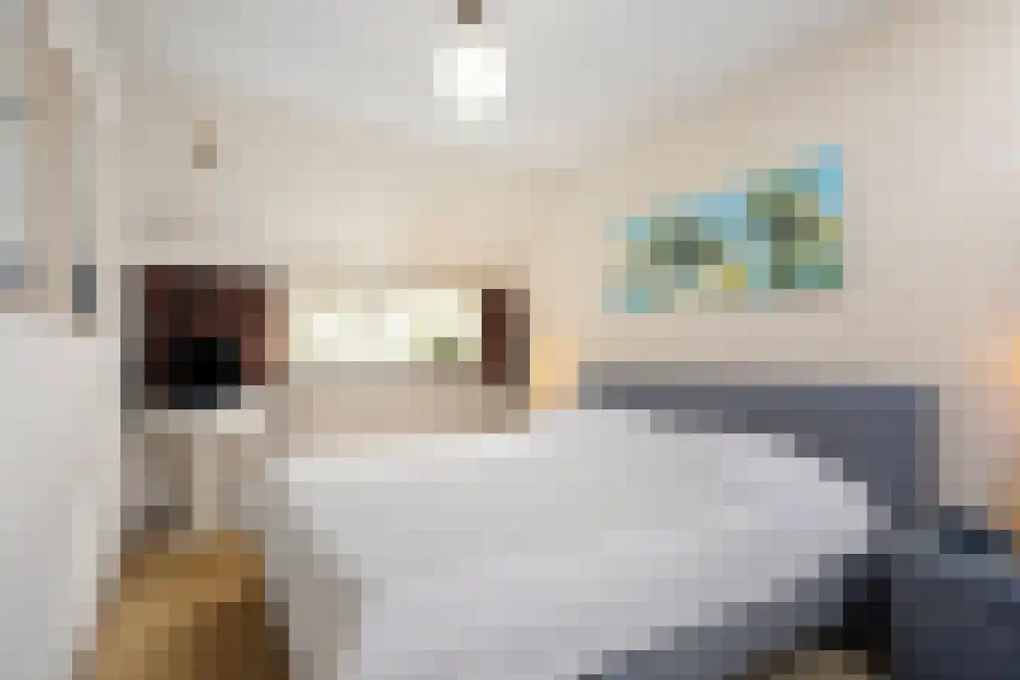 Torp 70 Den Helder thumbnail 21