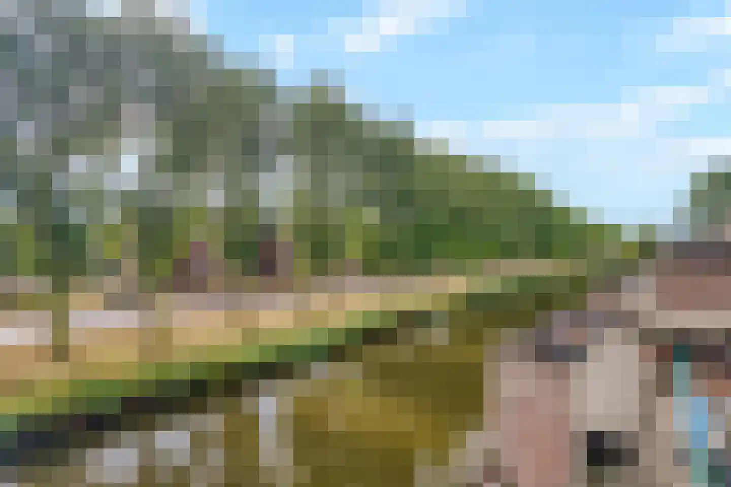 Torp 70 Den Helder thumbnail 30