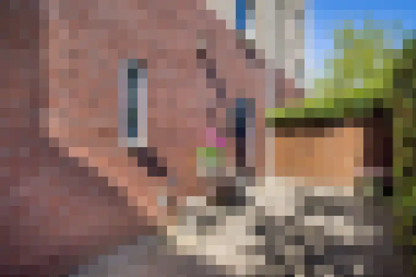 Torreshof 16 Utrecht thumbnail 16