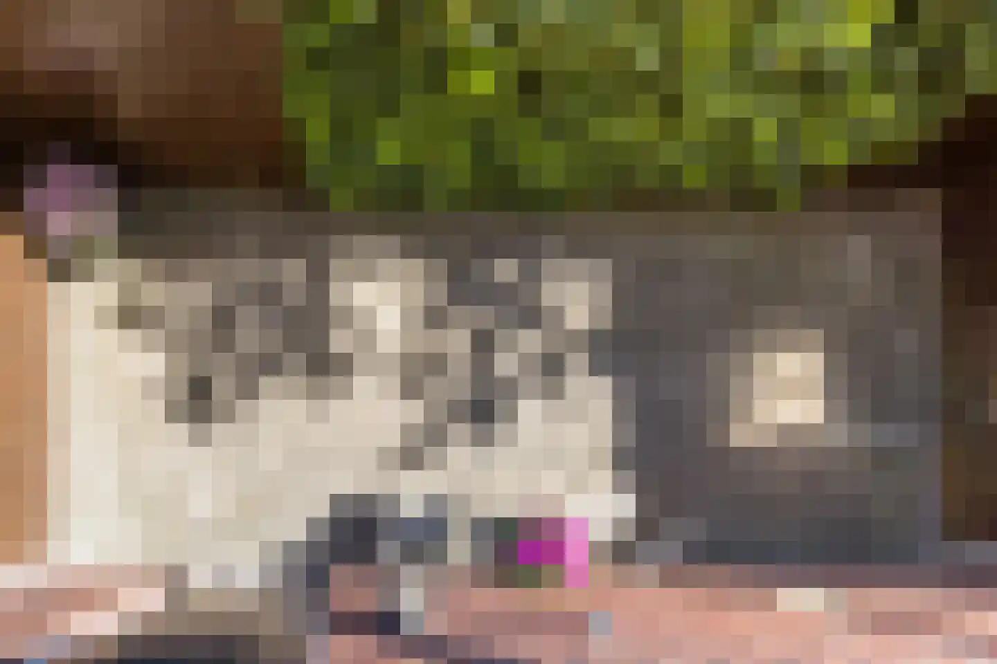 Torreshof 16 Utrecht thumbnail 17