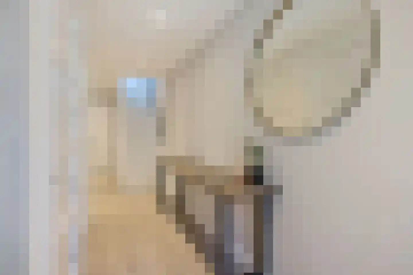 Torreshof 16 Utrecht thumbnail 19