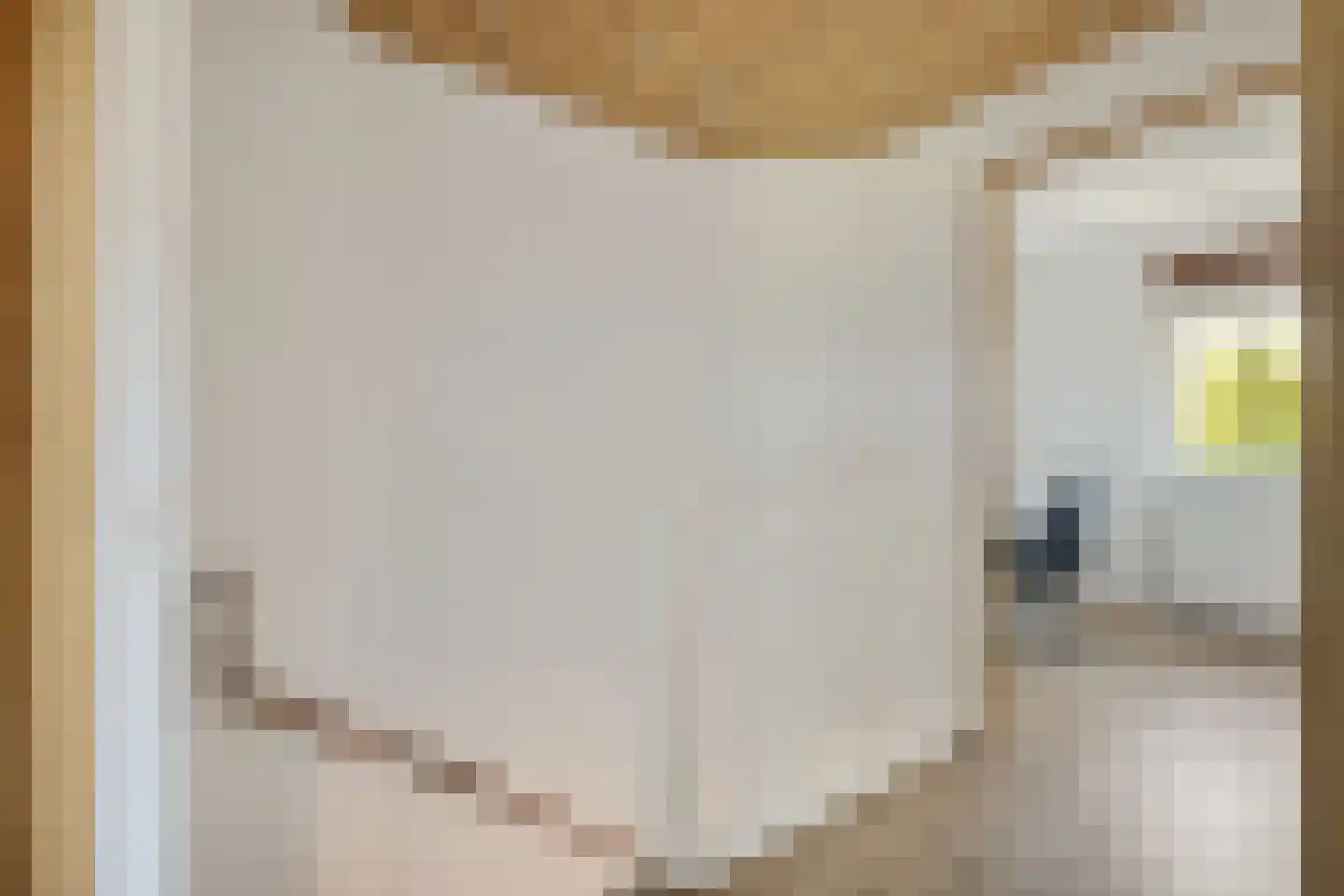 Torreshof 16 Utrecht thumbnail 32