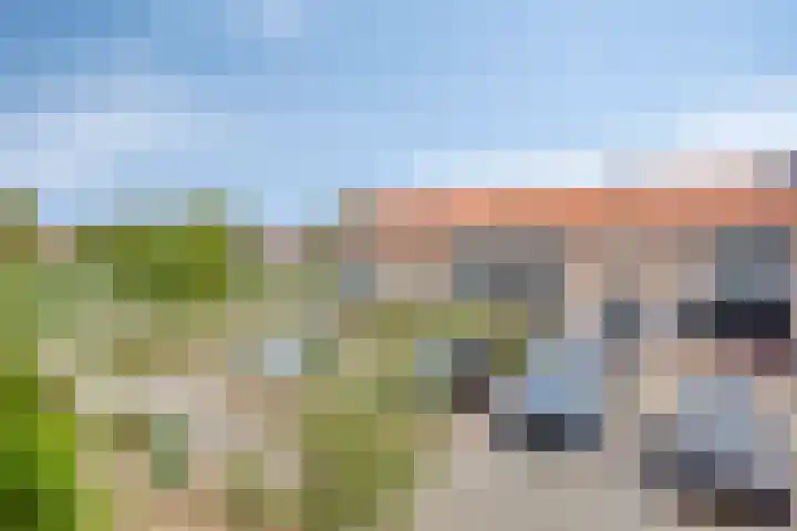 Torresstraat 7 's-Hertogenbosch thumbnail 30