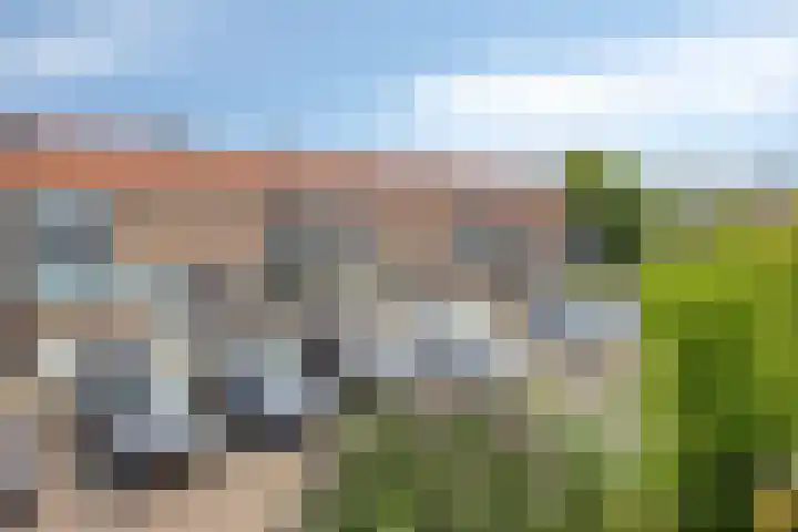 Torresstraat 7 's-Hertogenbosch thumbnail 31