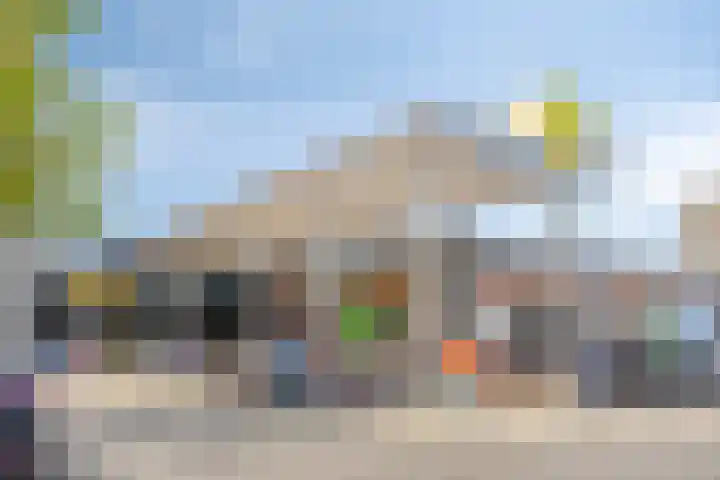 Torresstraat 7 's-Hertogenbosch thumbnail 33