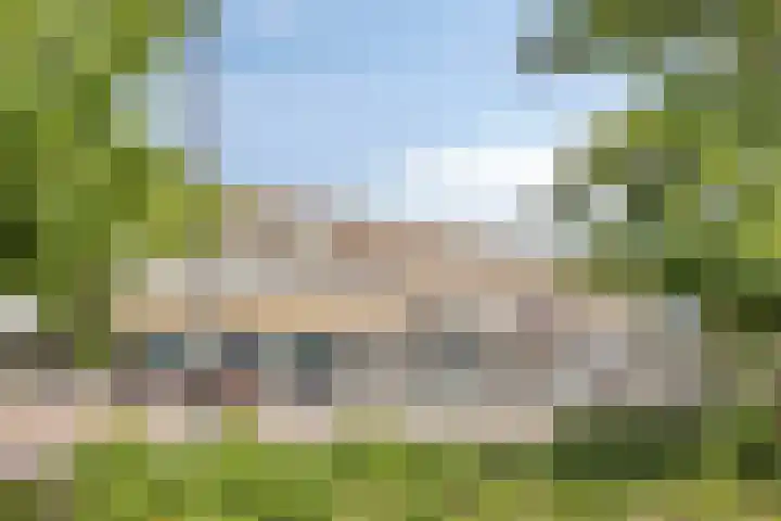 Torresstraat 7 's-Hertogenbosch thumbnail 34