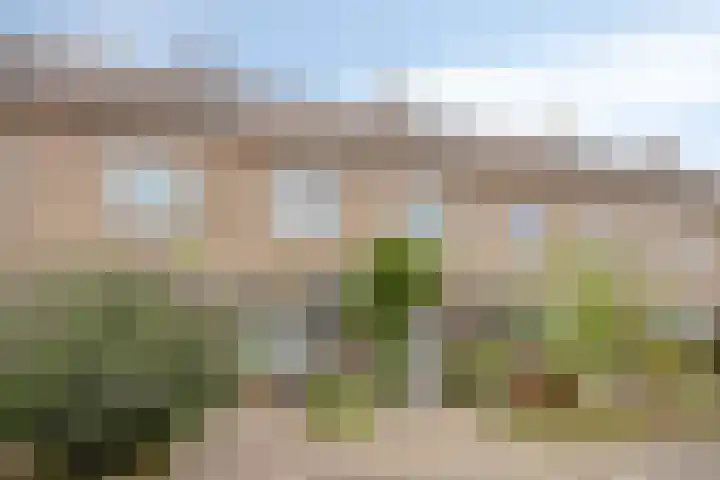 Torresstraat 7 's-Hertogenbosch thumbnail 35