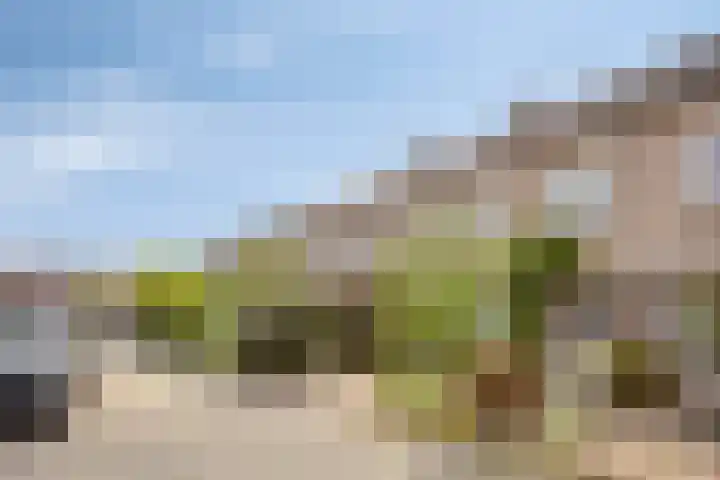 Torresstraat 7 's-Hertogenbosch thumbnail 37
