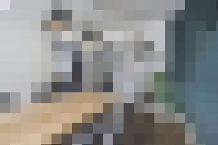 Torrestraat 11 Kronenberg thumbnail 11