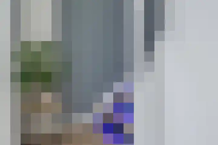 Torrestraat 11 Kronenberg thumbnail 19